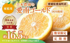 【先行予約】河内晩柑３回お届け定期便／家庭用愛南ゴールド 5.5kg×3回＜柑橘 希少 果物 国産 フルーツ みかん 蜜柑 定期便 家庭用 和製 グレープフルーツ ブランド 果実 ビタミン 愛媛県 鬼北町 ＞ ※2025年4月上旬～8月上旬頃に順次発送予定