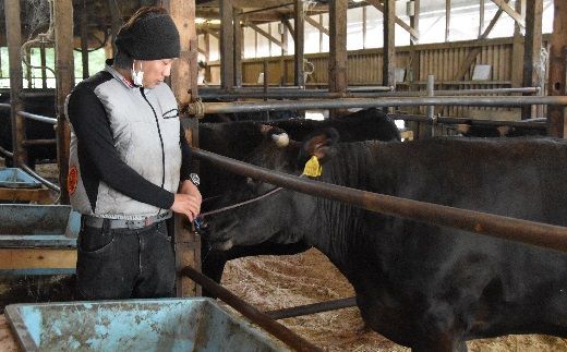 【000020_1】松阪牛　牛小間切れ【限定30個／月】