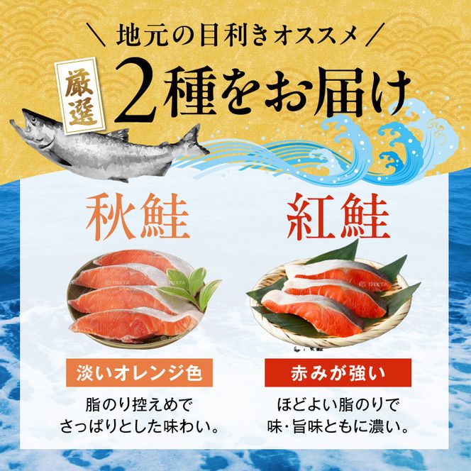 <<内容量が選べる>> 紅鮭切身＆秋鮭切身セット 32切～64切