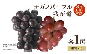 【 桐箱入り 】 ナガノパープル と 我が道 (各１房)【2026年8月上旬発送開始】(茨城県共通返礼品：大子町) ぶどう 葡萄 フルーツ 果物 贈答用 ギフト 贈り物