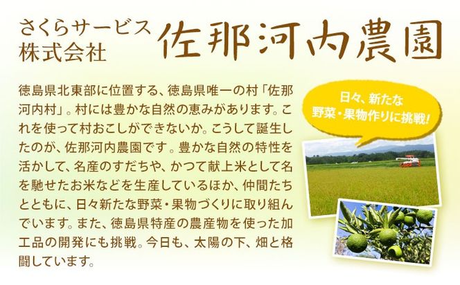 すだち発泡入浴料 5袋入り さくらサービス株式会社 《90日以内に出荷予定(土日祝除く)》| 入浴剤 炭酸 ご当地入浴剤 徳島県 佐那河内村 ---sanagouchi_sks_4_5k---