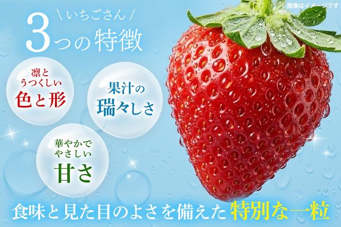 【2027年1月中旬より発送開始】いちごさん4パック【果物 くだもの フルーツ イチゴ 苺 佐賀】(H116133)
