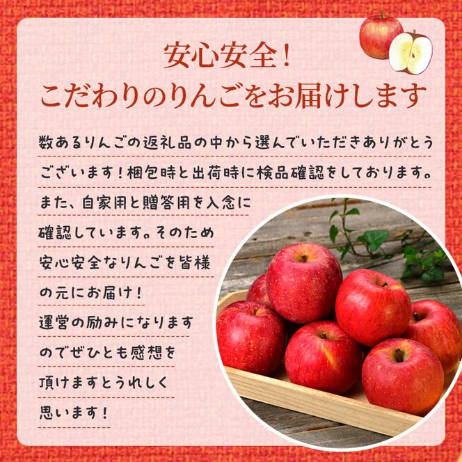 信州小諸　松井農園のサンふじ　約2kg 果物類・林檎・りんご・リンゴ