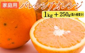 家庭用 バレンシアオレンジ1kg+250g（傷み補償分）