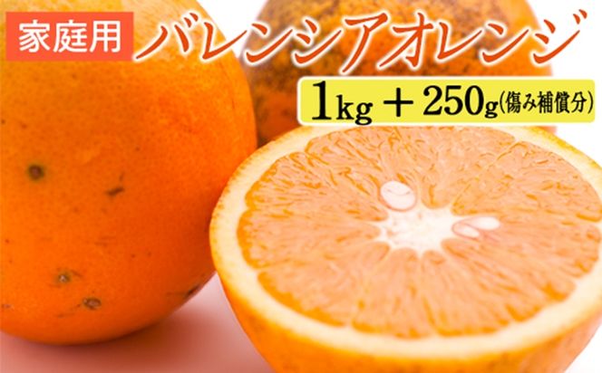 家庭用 バレンシアオレンジ1kg+250g（傷み補償分）