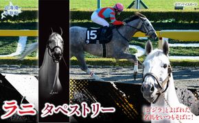 【ラニ】タペストリー BRTV402
