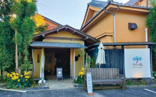 もりやさんち の のむヨーグルト 500ml 12本 セット ヨーグルト 乳製品 生乳90％以上 濃厚 無添加 美容 健康 栄養補給 タンパク質 カルシウム 500ml×12 6L