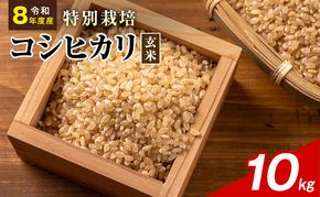 令和8年産 特別栽培米 コシヒカリ 玄米 10kg 静岡県産 色彩選別済 食に意識高い方へオススメ