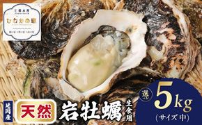 延岡産天然岩牡蠣（生食用）5kg（中）（2026年4月15日から発送開始）N036-YB306
