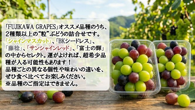 手軽に楽しむ《徳用・粒ぶどう》 【ミックス（２種以上）】 1.0kg（パック包装） 【2026年発送分 先行予約】- FUJIKAWA GRAPES -