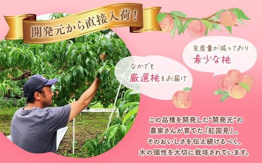 ◆2026年夏発送◆ 紅国見 ～産直・桃・約1.5kg～ ※離島への配送不可 ※2026年7月上旬～7月下旬頃に順次発送予定｜桃 もも モモ フルーツ 果物 ふくしま 福島 国見町 詰め合わせ