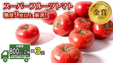 【 先行予約 】【 3ヶ月 定期便 】 スーパーフルーツトマト 小箱 約800g × 2箱 【大玉7〜13玉/1箱】 糖度9度 以上 野菜 フルーツトマト フルーツ トマト とまと [AF047ci]