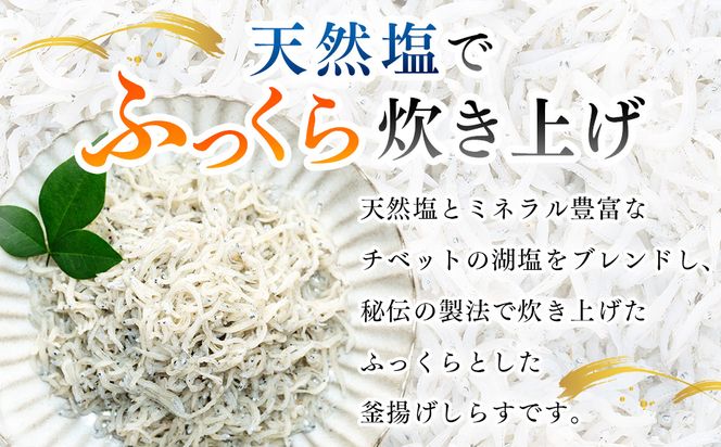 日間賀島 釜揚げ しらす 1kg 天然 塩 愛知県 南知多町 冷凍 ご飯 ごはん パスタ サラダ ピザ 丼 料理 国産 パーティー 魚 さかな シラス ミネラル 人気 おすすめ