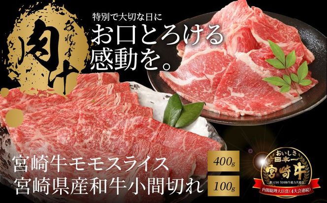 y{茧؏钬z{苍 XCX400 {茧YaԐ؂100  K18_0028_6