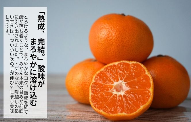 みかん 春待ち 越冬みかん 箱込1kg(内容量0.9kg) 等級／サイズミックス 和歌山県産 産地直送 AX429