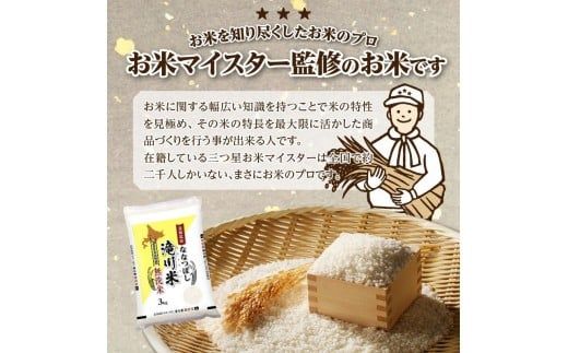 【寄附額改定】《令和8年産先行予約》【9ヵ月定期】滝川産ななつぼし無洗米 3kg 定期便 新米 特A 北海道 お米マイスター ブランド米 皇室 白米 精米 米 こめ コメ お米 単一米 ご飯 ごはん 生活応援 送料無料 北海道産 道産 おすすめ 人気 限定 贈答
