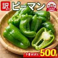訳ありピーマン500g [7-9月発送] 規格外 ピーマン 野菜 やさい 赤 緑 完熟 ぴーまん 食品 旨味 ミネラル 栄養 自宅用 お試し ごはん 夕飯 おかず サラダ 被災 震災 火災 支援 大船渡 三陸 岩手県 国産