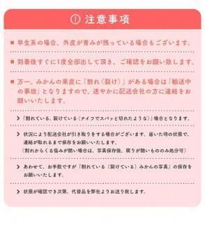 ［先行予約］ご家庭用 完熟 有田みかん 5kg［2026年12月発送予定］訳あり 農家直送［MS31-2］ 303446_XD96098