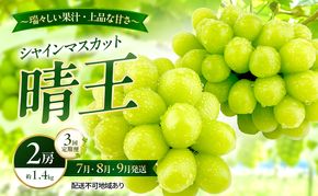 ぶどう 2026年 先行予約 定期便 シャインマスカット 晴王 2房 約1.4kg 7月・8月・9月 3回発送 岡山県産 種無し 皮ごと食べる みずみずしい 甘い 瀬戸内 晴れの国 おかやま 果物大国 満天フルーツ