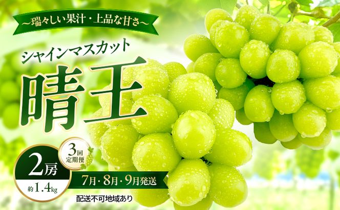 ぶどう 2026年 先行予約 定期便 シャインマスカット 晴王 2房 約1.4kg 7月・8月・9月 3回発送 岡山県産 種無し 皮ごと食べる みずみずしい 甘い 瀬戸内 晴れの国 おかやま 果物大国 満天フルーツ