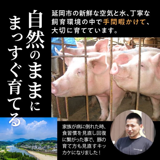 延岡よっとん ロースブロック約1kg N003-YA966