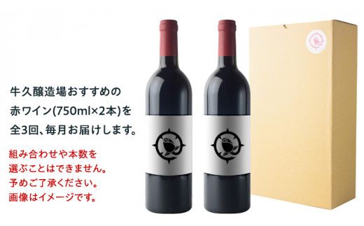 【 3ヶ月連続 】 赤ワイン おまかせ 定期便 2本セット 飲み比べ 茨城県産 牛久醸造場 厳選 750ml × 2本 お酒 ワイン ワイン好き 初心者 上級者 贈り物 ギフト 詰め合わせ [BJ039us]