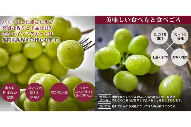 【B6-028】シャインマスカット4-6房(約2kg)＜2026年8月中旬から発送開始分先行予約＞