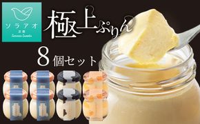 【ソラアオ】ぷりん詰め合わせセット（8個入り）| 京都 チーズケーキ専門店 人気セット［ 京都  とろ生プリン カスタードプリン スイーツ プリン 人気 おすすめ 洋菓子 お取り寄せ 通販 送料無料 ふるさと納税 ］ 261009_B-QW15