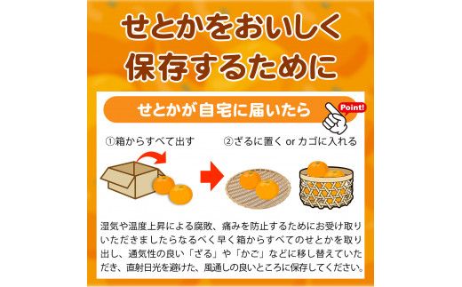 とろける食感 ジューシー柑橘 せとか 約2.5kg みかん 蜜柑 柑橘 オレンジ 果物 フルーツ 国産 和歌山県広川町 ※2027年1月下旬頃〜2027年2月上旬頃に順次発送予定【uot789A】