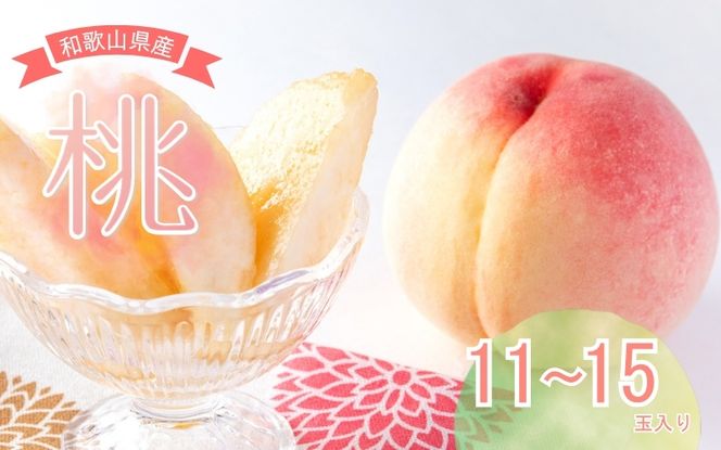 【先行予約受付】和歌山県産 の 美味しい 桃 （11～15玉入り）【2026年6月中旬頃から8月上旬頃順次発送予定】 和歌山 もも モモ 桃 ギフト 贈り物 プレゼント 夏ギフト 果物 フルーツ 人気 産地直送 和歌山県 お取り寄せ【mat100C】