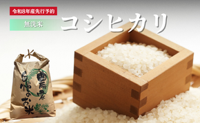 【先行予約】無洗米令和8年産 コシヒカリ 5kg 【 お米 米 コメ 精米 南丹市 】