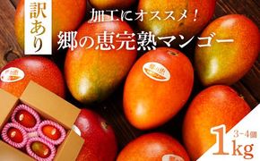 【訳あり】1kg 大崎完熟マンゴー「郷の恵（さとのめぐみ）」加工用マンゴー（糖度10度前後） 464686_BD007