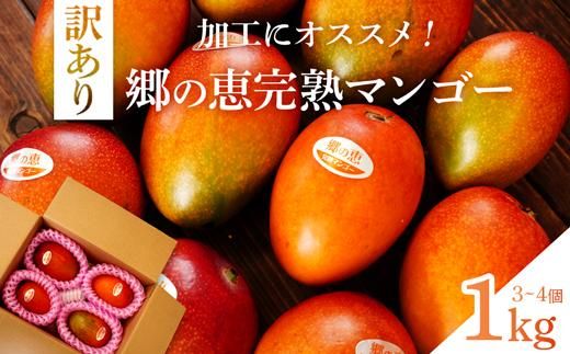 【訳あり】1kg 大崎完熟マンゴー「郷の恵（さとのめぐみ）」加工用マンゴー（糖度10度前後） 464686_BD007
