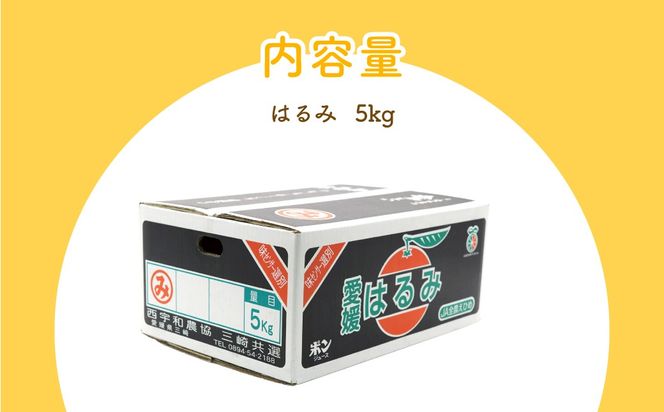 【先行予約】【数量限定】はるみ（生果5kg）※離島への配送不可（2026年1月下旬より順次発送予定） IKTBD009