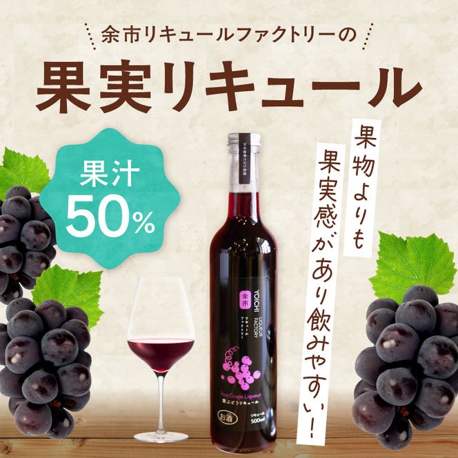 ワイン苦手でも飲める！北海道余市 黒ぶどうリキュール ツヴァイゲルトレーベ アルコール5% 甘口 渋みなし 果実感たっぷり 余市リキュールファクトリー 500ml_Y118-0003