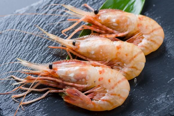 【年内配送　年内発送　北海道】 漁師採りたて ボタンエビ 500g 1箱　北海道留萌産 ボタンえび ぼたんえび ボタン海老 えび エビ 海老 お刺身 刺身 塩焼き 塩ゆで 天ぷら 海鮮 魚介 魚介類 北海道 留萌 留萌市 R006-013