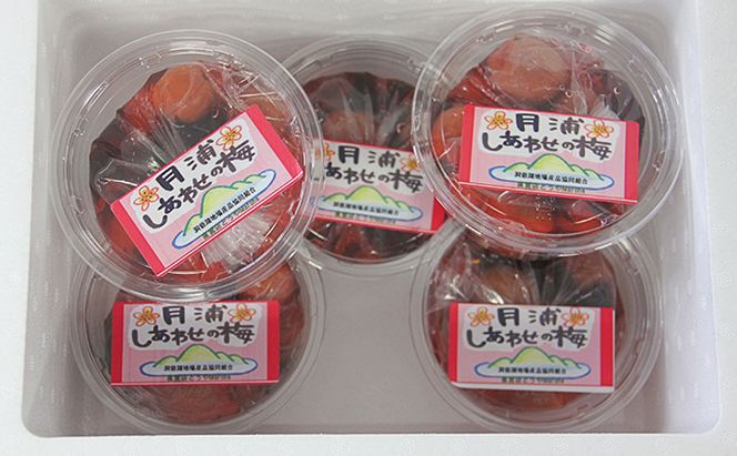 北海道・樹齢130年の梅漬け「しあわせの梅」1kg（200g×5個） 梅干し 漬物 うめ 