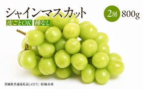 【2026年9月より発送開始】シャインマスカット 800g 2房 （茨城県共通返礼品 [ぶどう]：結城市産）田舎の頑固おやじが厳選！ マスカット 種なし  ギフト 高糖度 大粒 ぶどう 甘い 美味しい フルーツ 果物 [BI291-NT]