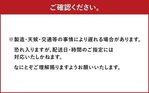 【6ヶ月定期便】一蘭ラーメン生麺セット（6食）生麺周年祭定期便  【2026年2月上旬または3月上旬より発送開始】 一蘭 ラーメン 生麺 麺 豚骨 詰め合わせ
