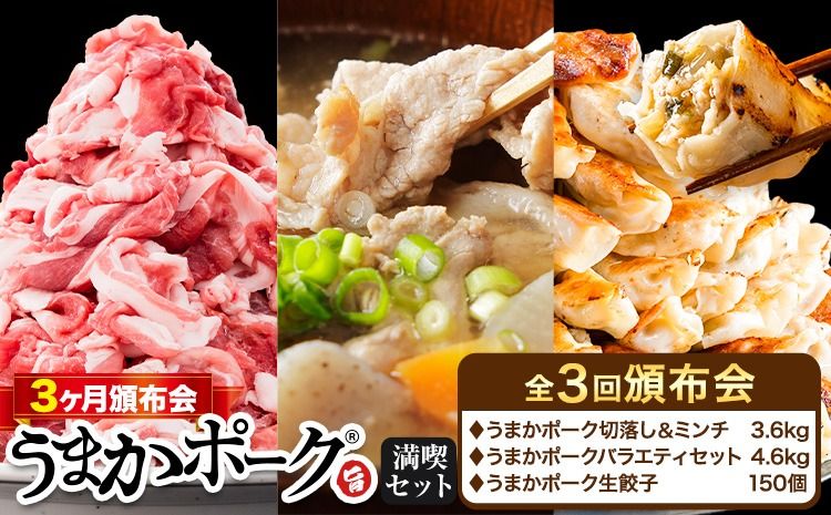 豚肉 うまかポーク 満喫セット 全3回 定期便 うまかポーク 切り落とし ミンチ バラエティセット 生餃子[お申込み月の翌月から発送開始]熊本県 大津町 豚肉 ミンチ 干し芋 ハンバーグ 肉 頒布会 全3回---oz_fumaptei_25_45500_mo3num1---