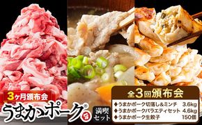 豚肉 うまかポーク 満喫セット 全3回 定期便 うまかポーク 切り落とし ミンチ バラエティセット 生餃子《お申込み月の翌月から発送開始》熊本県 大津町 豚肉 ミンチ 干し芋 ハンバーグ 肉 頒布会 全3回---oz_fumaptei_25_45500_mo3num1---