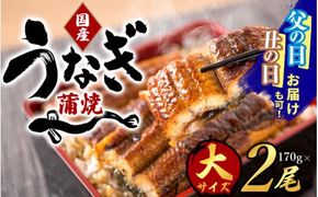 大型サイズ ふっくら柔らか国産うなぎ蒲焼き ２尾 うなぎ 国産 特大【uot302A-3】