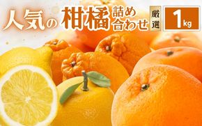 厳選 柑橘詰合せ1kg+250g（傷み補償分）【有田の春みかん詰め合わせ・フルーツ詰め合せ・オレンジつめあわせ】【光センサー選別】【ikd183B】