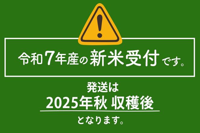 【無洗米】＜令和7年産 新米予約＞《定期便4ヶ月》秋田県産 あきたこまち 20kg (5kg×4袋) ×4回 20キロ お米【お届け周期調整 隔月お届けも可】 新米|02_snk-030804s