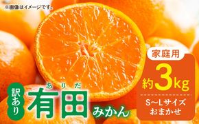 DZ6203_01_【2027年1月発送】家庭用 有田みかん 和歌山県産  S～Lサイズ 大きさお任せ 約3kg