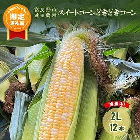 2026年夏発送！【ふるプレ限定品】スイートコーン どきどきコーン 2L 12本 ［武田農園とれたて直送］北海道 富良野産 とうもろこし 野菜 新鮮 とうきび 甘い 産地直送 先行予約 限定