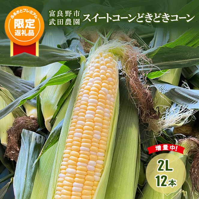 2026年夏発送！【ふるプレ限定品】スイートコーン どきどきコーン 2L 12本 ［武田農園とれたて直送］北海道 富良野産 とうもろこし 野菜 新鮮 とうきび 甘い 産地直送 先行予約 限定