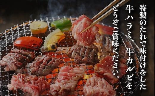 牛肉 味付け牛 焼肉 セット 計約4.5kg [小林食品 福岡県 宇美町 um40azo890008] 肉 焼き肉 ハラミ カルビ 個包装