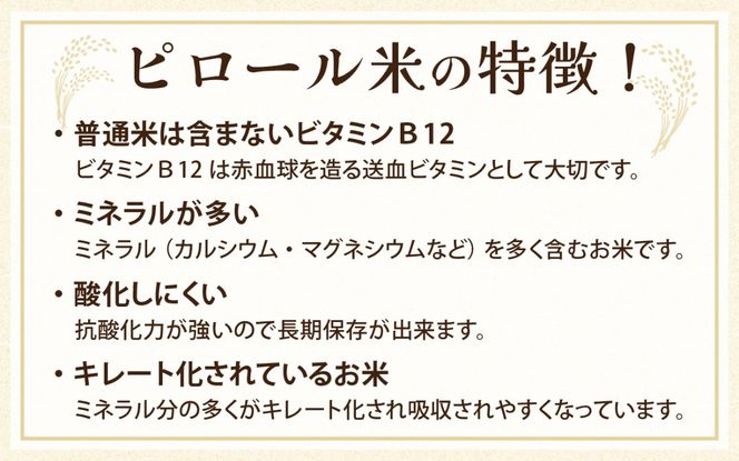 富山県滑川市産　弱アルカリ性米　「ピロール農法米　いのちの壱」玄米5kg【2025年10月中旬より順次発送】 / 産地直送 袋 ブランド米 お米 米 ご飯 ごはん 富山 滑川市 アグリめぐみ 農家直送 おこめ