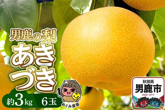 《先行受付》男鹿の梨 あきづき 約3kg 6玉 梨 秋田県 男鹿市 ＜めぐみ農園＞ 2026年10月上旬より発送|23_mgm-030301